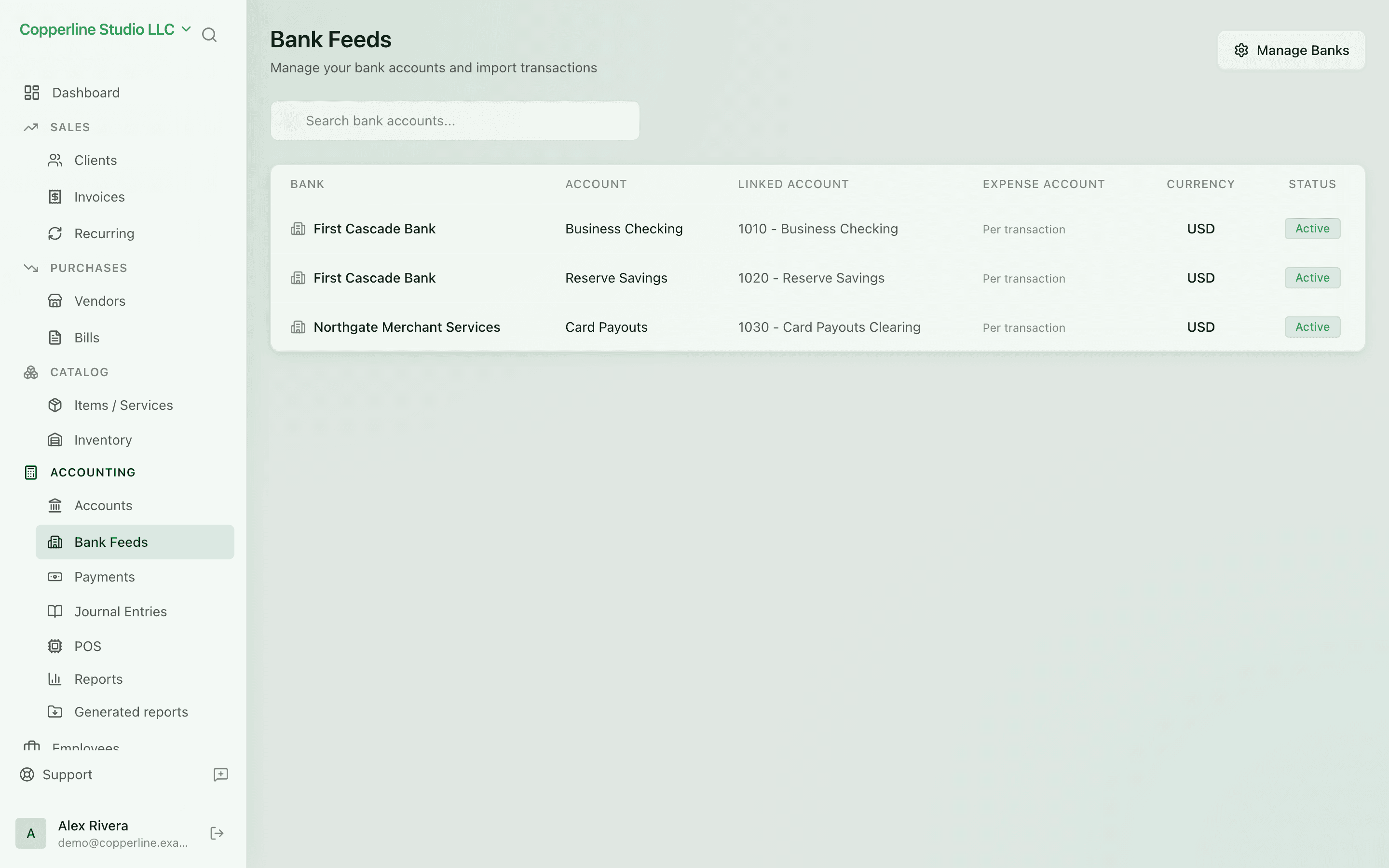 The Bank accounts screen in Nefin