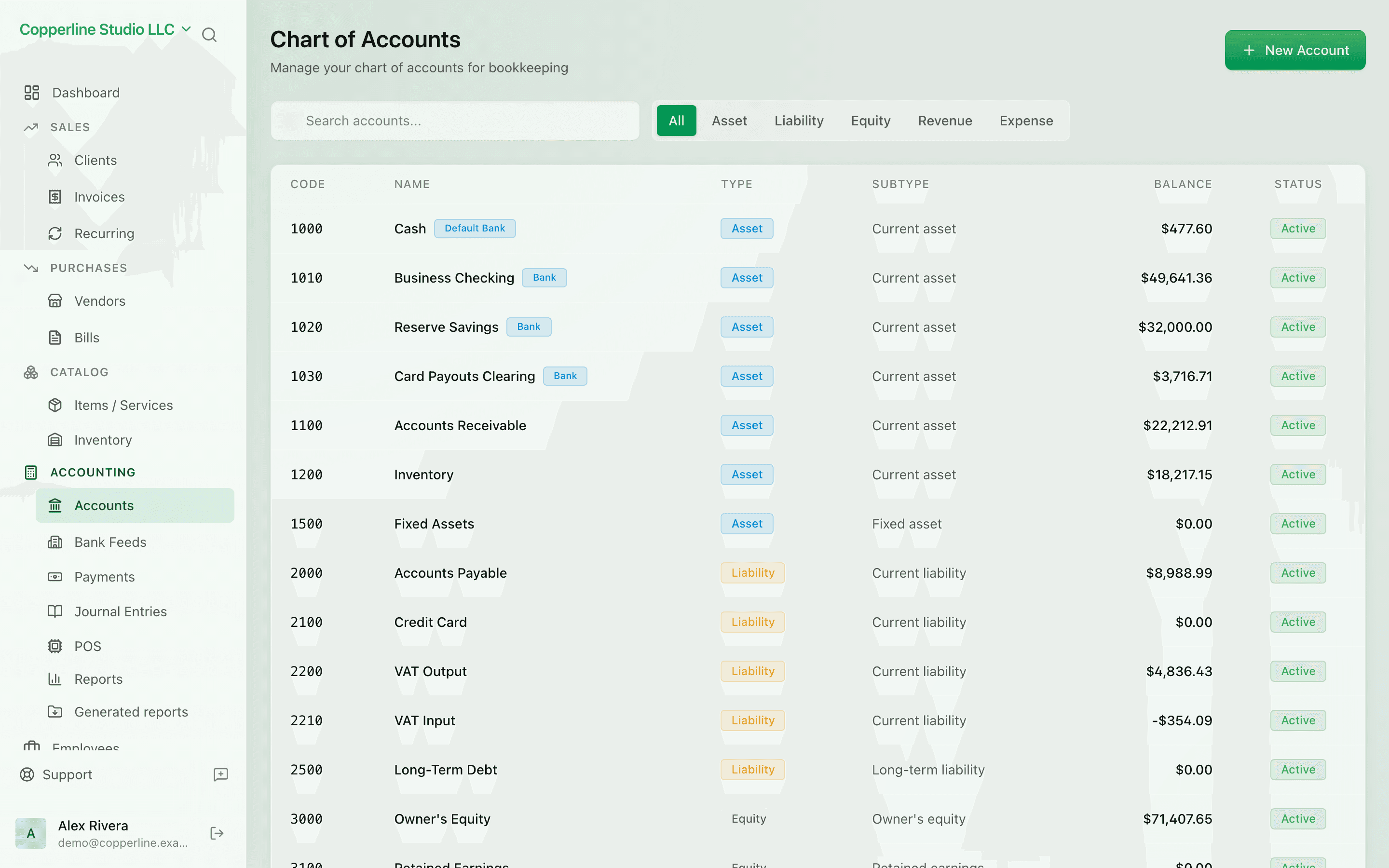The Chart of accounts screen in Nefin